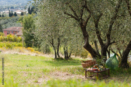 Romantic picnic under olive tree. Delicious italian meal served on a wooden table. Baskets with food, branches in glass jar. Sunny autumn day. Italy, Tuscany