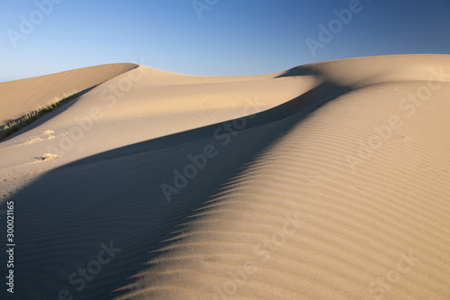 Gobi Desert Singing Sand Dunes