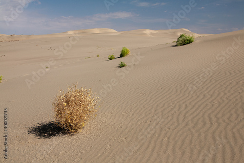 Gobi Desert Singing Sand Dunes