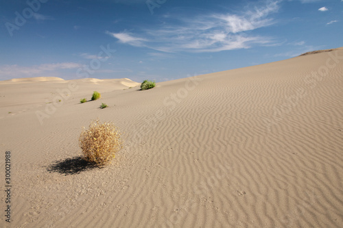 Gobi Desert Singing Sand Dunes