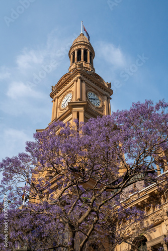 Canvas Print Sydney City Townhall with Purple Jacaranda in Bloom