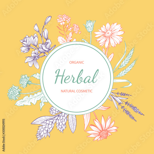 Natural cosmetics hand drawn vector label. Eco skincare product with herbal ingredients sticker design. Circle frame with wildflowers and lettering on yellow background. Floral border with text