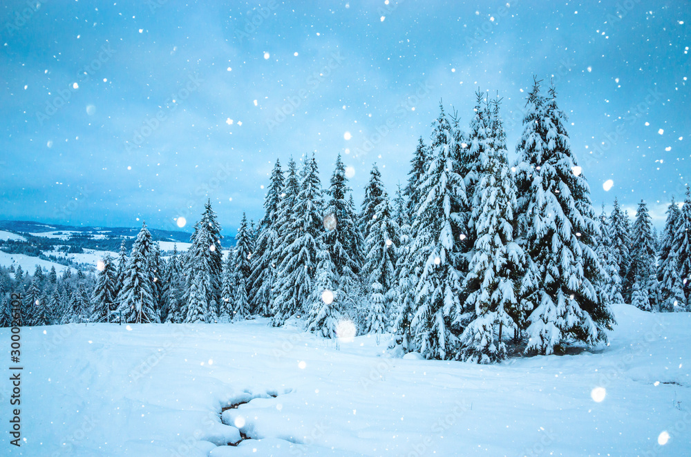 Fototapeta premium Beautiful winter landscape with snow on the trees