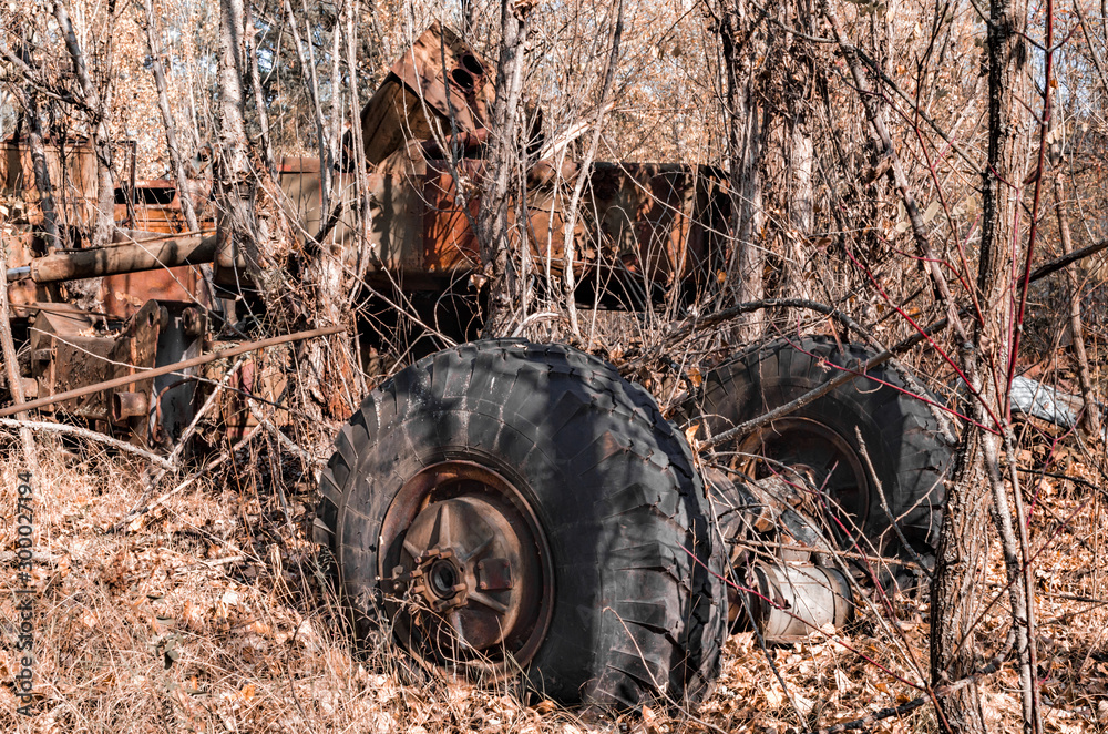 part of an old car in the forest in Chernobyl part of an old car in the forest in Chernobyl