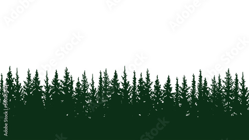silhouette of fir trees, forest landscape. On white background