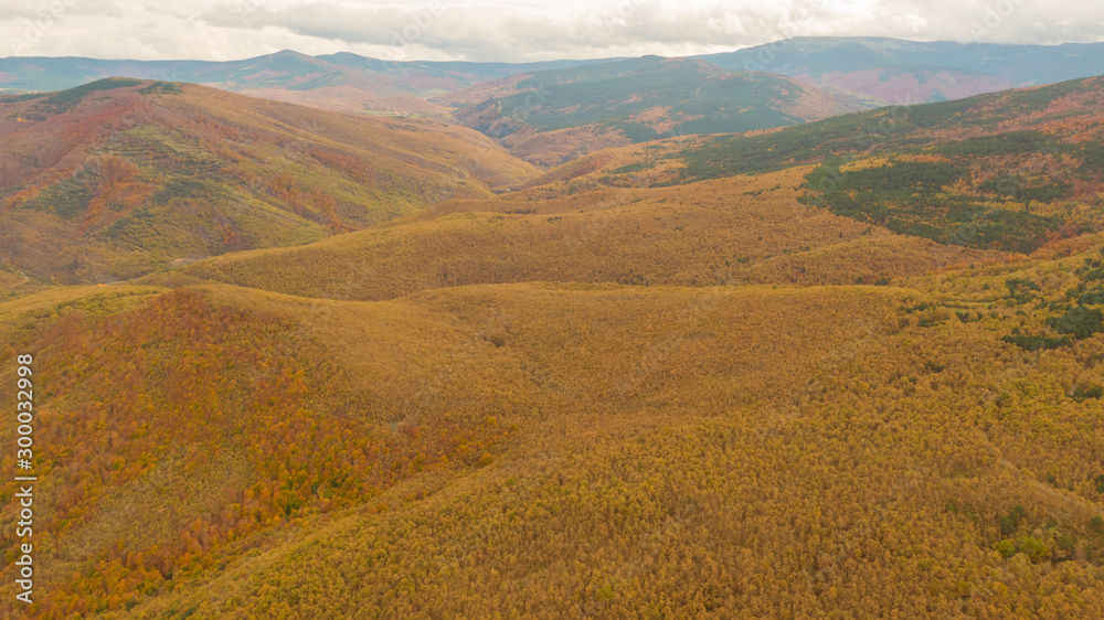 Fototapeta premium Paisaje en otoño