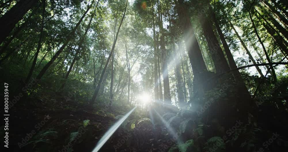 Mountain bikers hiking past lens flare Mountain bikers hiking past lens flare