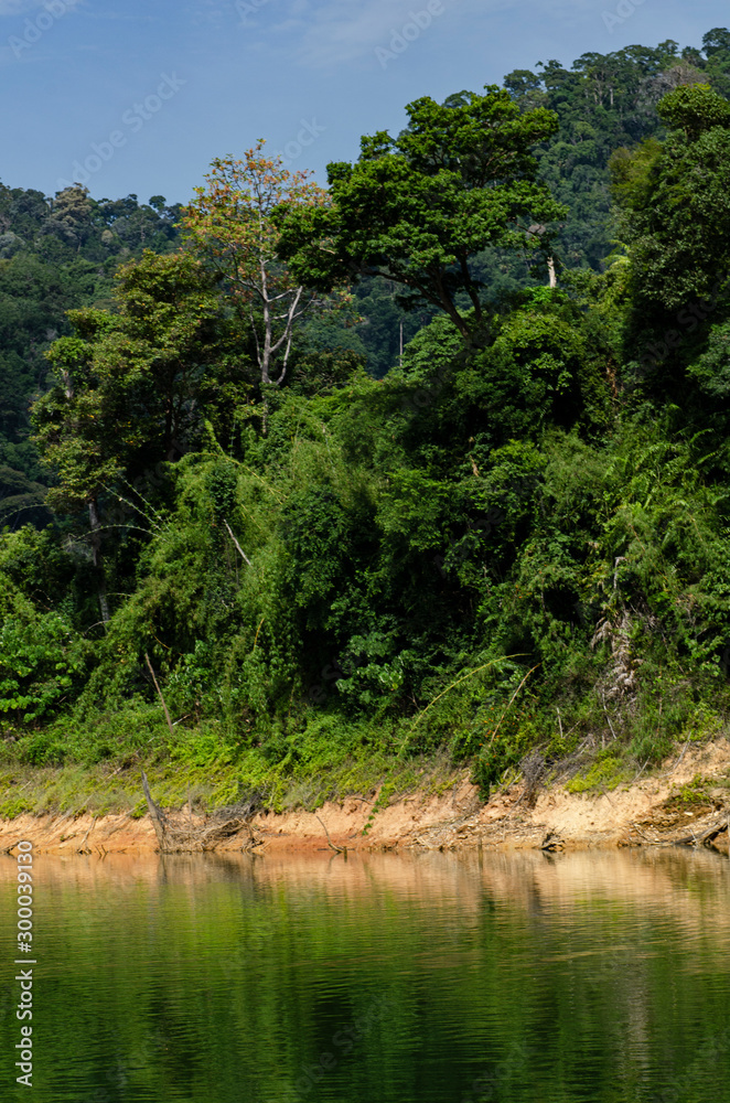 Beautiful image of rain-forest with reflection in water at Royal Belum State Park, Gerik Perak Malaysia. Beautiful image of rain-forest with reflection in water at Royal Belum State Park, Gerik Perak Malaysia.