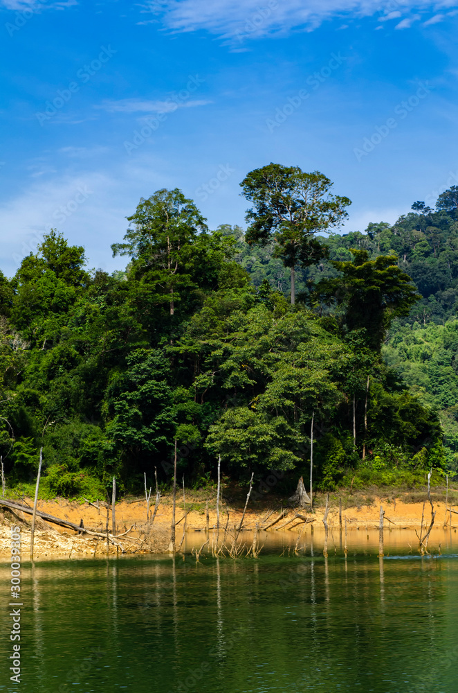 Beautiful image of rain-forest with reflection in water at Royal Belum State Park, Gerik Perak Malaysia. Beautiful image of rain-forest with reflection in water at Royal Belum State Park, Gerik Perak Malaysia.