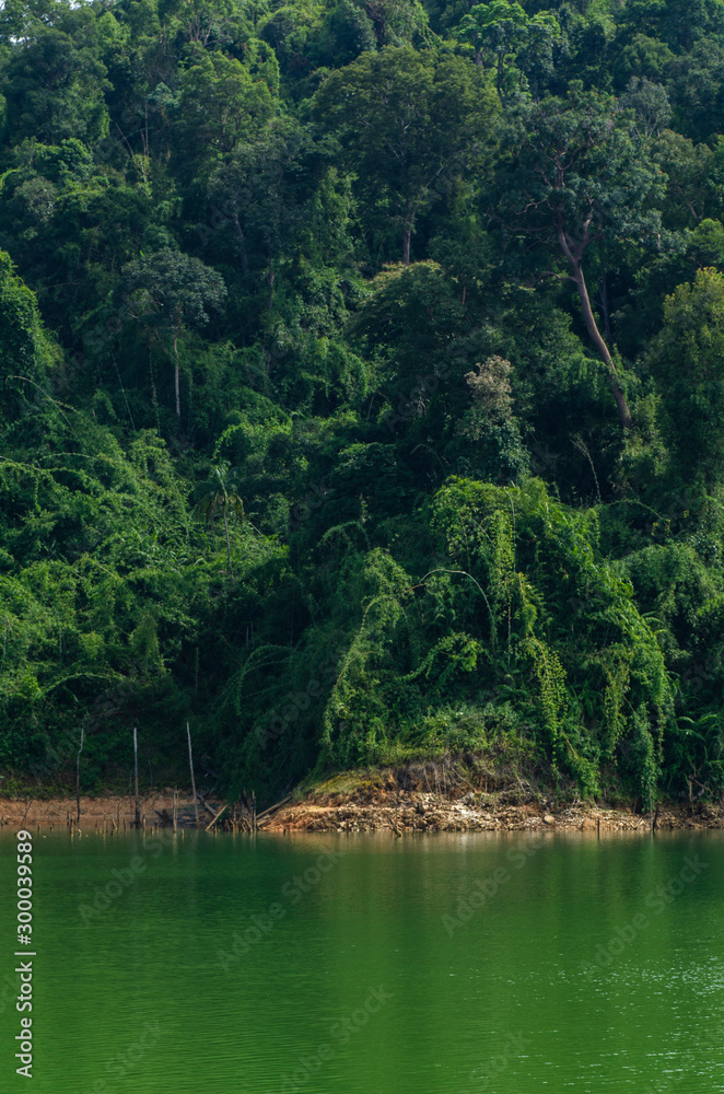 Beautiful image of rain-forest with reflection in water at Royal Belum State Park, Gerik Perak Malaysia. Beautiful image of rain-forest with reflection in water at Royal Belum State Park, Gerik Perak Malaysia.