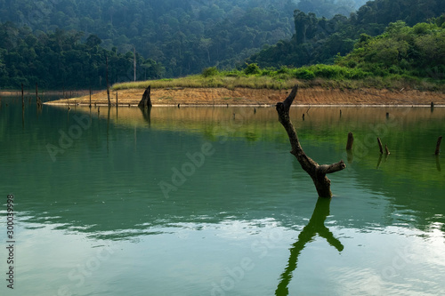 Beautiful image of rain-forest with reflection in water at Royal Belum State Park, Gerik Perak Malaysia. © amirul syaidi