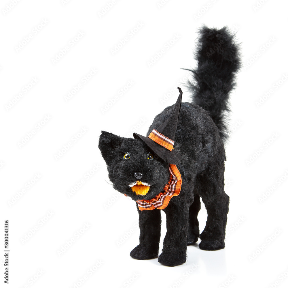 Black cat decoration for Halloween wearing a witch hat - obrazy, fototapety, plakaty 