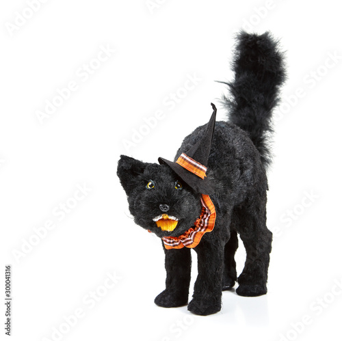 Black cat decoration for Halloween wearing a witch hat