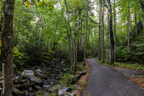 Great Smoky Mountains National Park