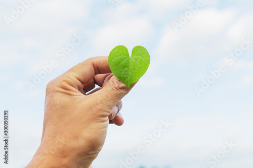 hand holding green leaf with blur sky background