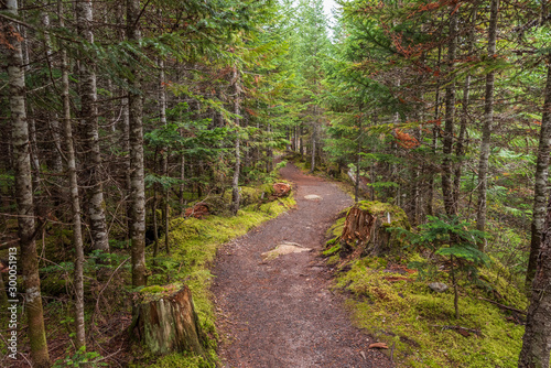 Mountain Trail in British Columbia, Canada. Mountains Background. © karamysh