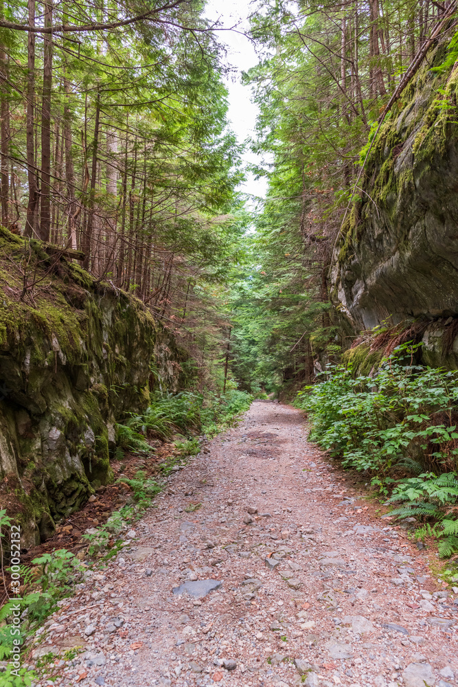 Mountain Trail in British Columbia, Canada. Mountains Background.