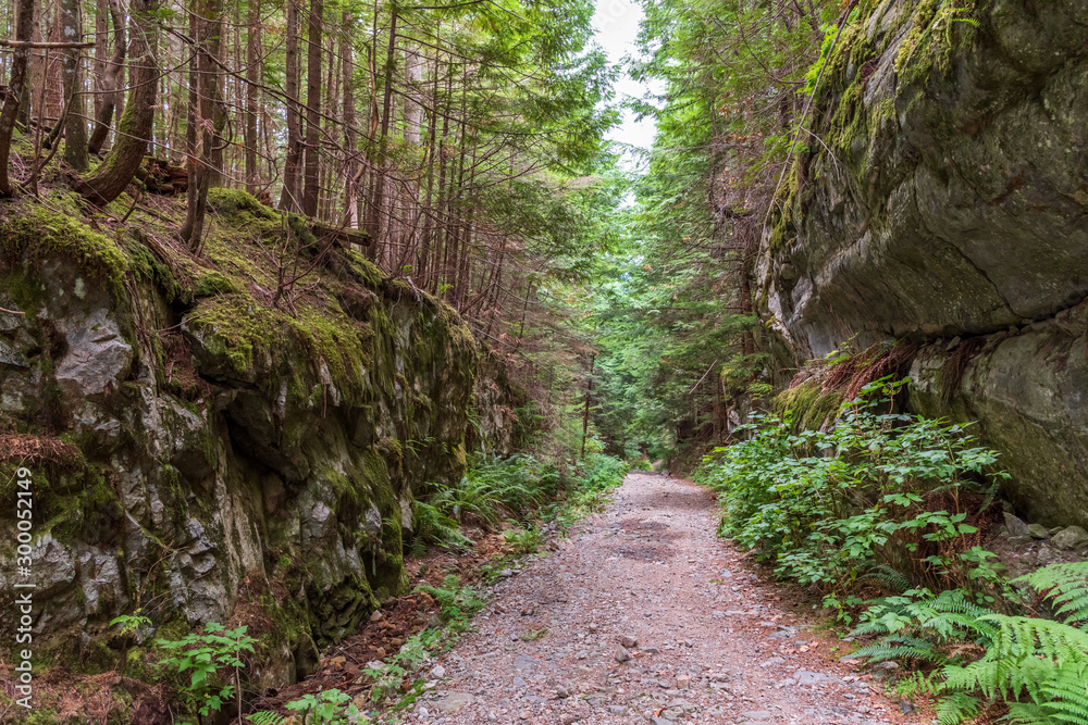 Obraz premium Mountain Trail in British Columbia, Canada. Mountains Background.