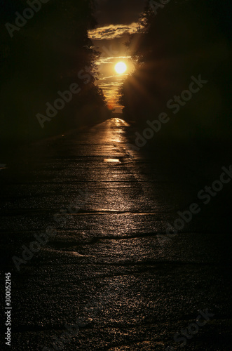 road in the forest