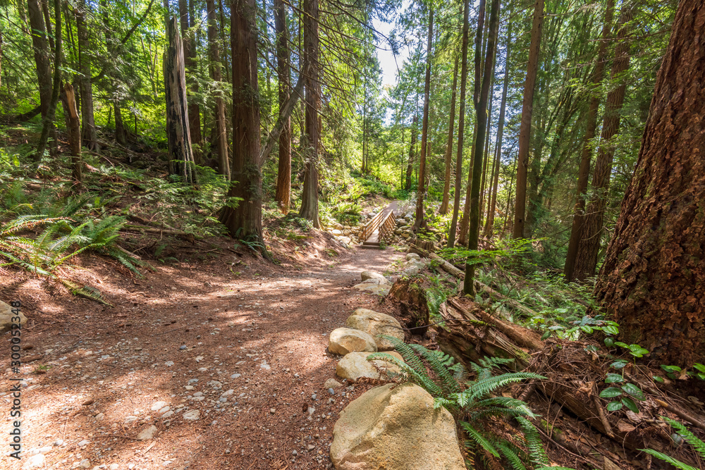 Mountain Trail in British Columbia, Canada. Mountains Background. Mountain Trail in British Columbia, Canada. Mountains Background.