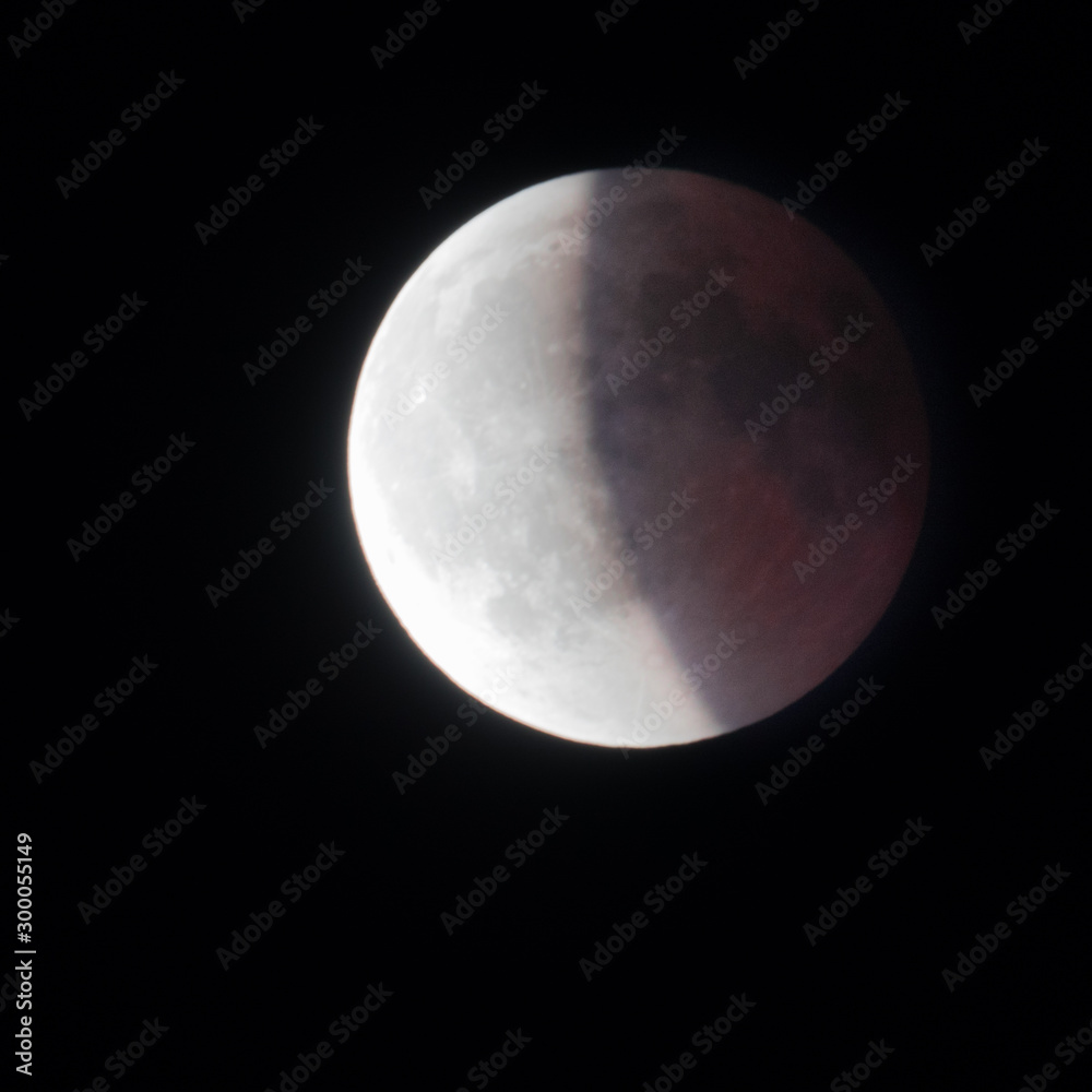Naklejka premium Full moon and red blood eclipse phases 