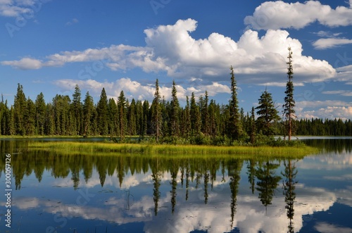 Bild auf Leinwand Moose provincial park