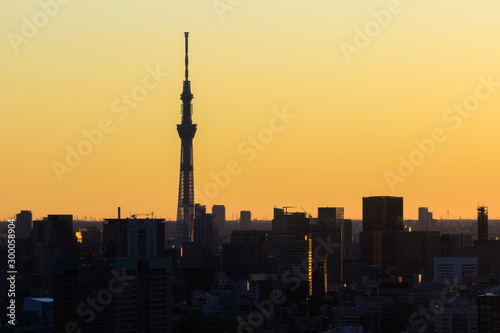 Tokyo skyline at sunrise © Kota Irie