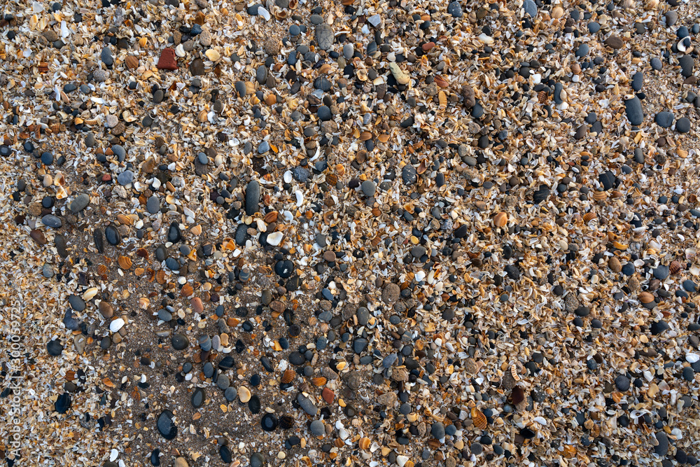 Small pebbles and shellrock background