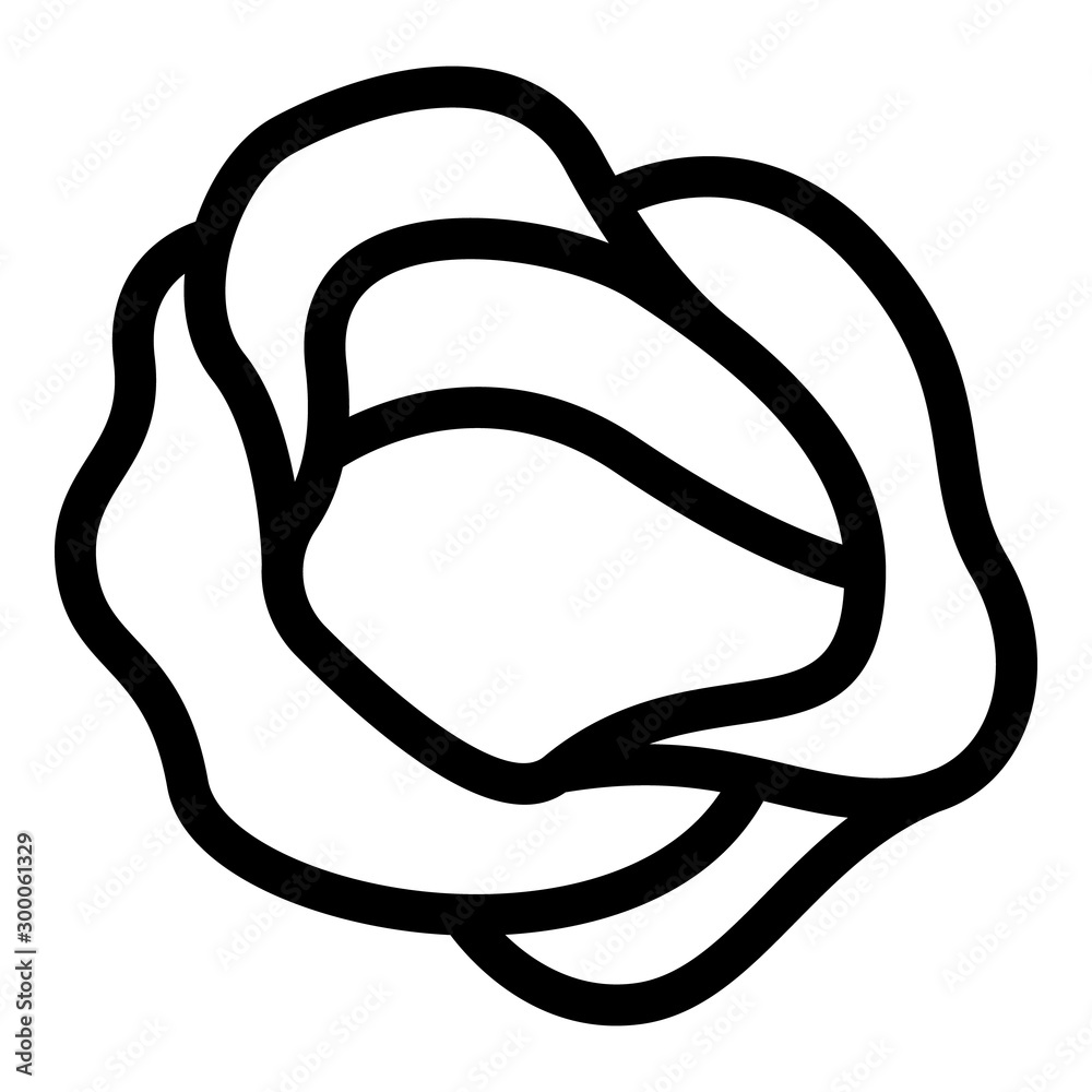 Farm cabbage icon. Outline farm cabbage vector icon for web design isolated on white background Farm cabbage icon. Outline farm cabbage vector icon for web design isolated on white background