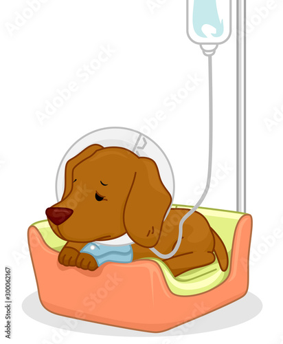 Dog Pet Dextrose Sick Illustration