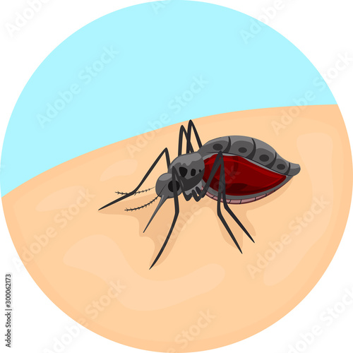 Mosquito Parasitism Illustration