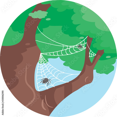 Spider On Tree Commensalism...