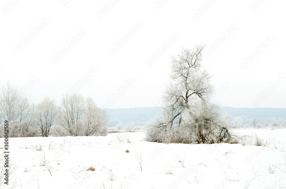 Obraz premium winter landscape