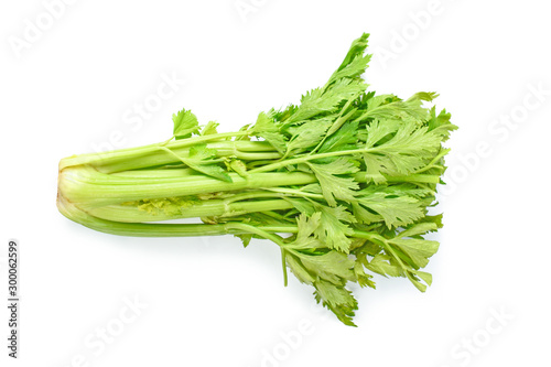 Fresh Celery on white background.