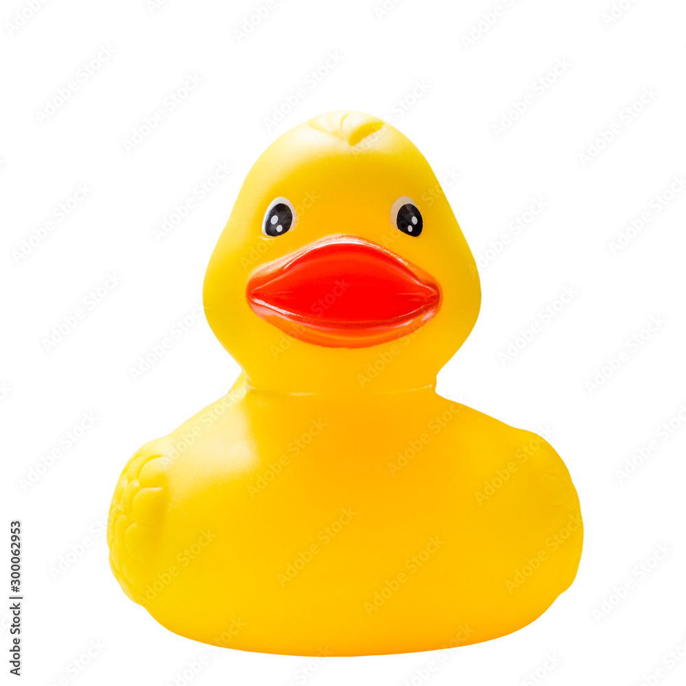 rubber duck
