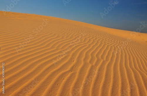 sand dunes in the desert.
