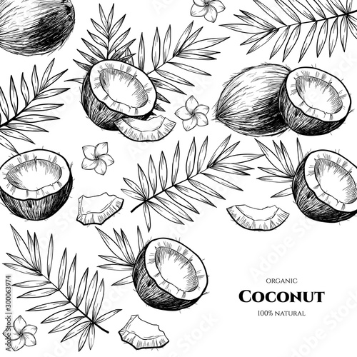 Vector frame with coconuts and tropical leaves .Hand drawn. Vintage style