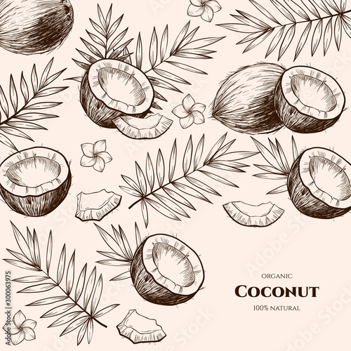 Vector frame with coconuts and tropical leaves .Hand drawn. Vintage style