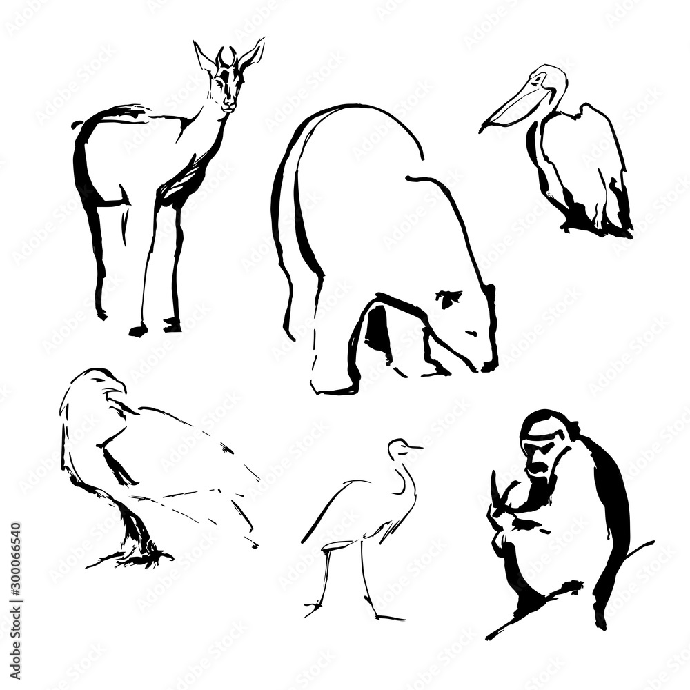 Sketches of animals and birds polar bear, deer, monkey, eagle, heron,  pelican made by black ink on a white background realistic image. Vector  illustration Stock Vector | Adobe Stock