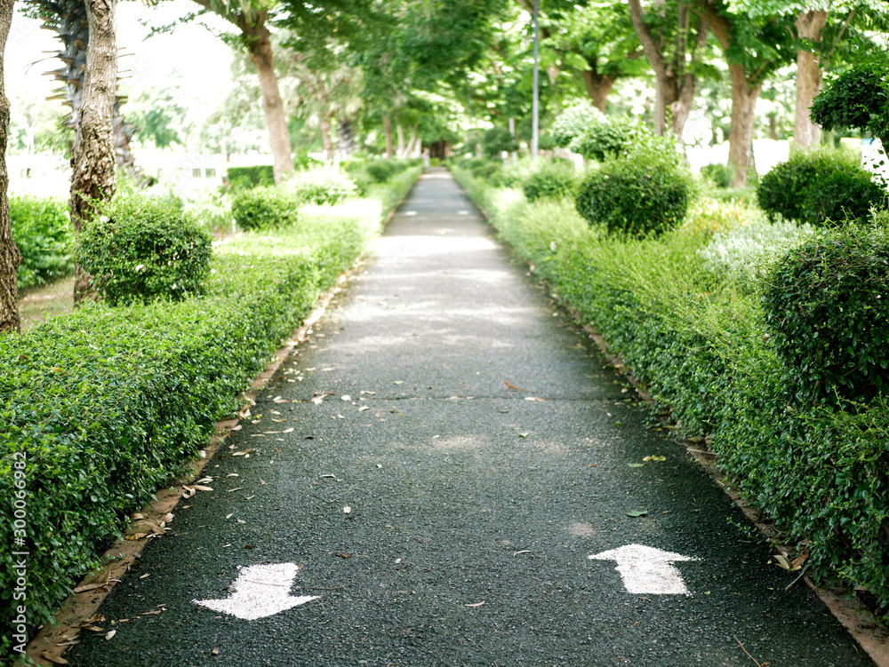 Pathway, Walkway in the public park With the up and down arrow symbol on the ground.