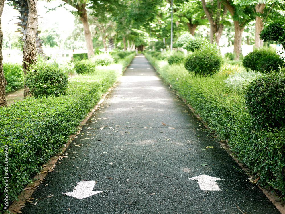 Pathway, Walkway in the public park With the up and down arrow symbol on the ground. Pathway, Walkway in the public park With the up and down arrow symbol on the ground.