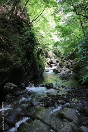 西沢渓谷の清流 