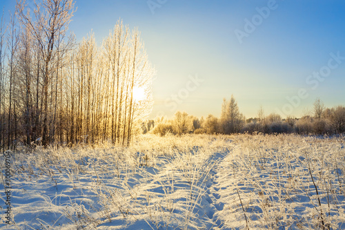 snowy winter landscape with forest and sun