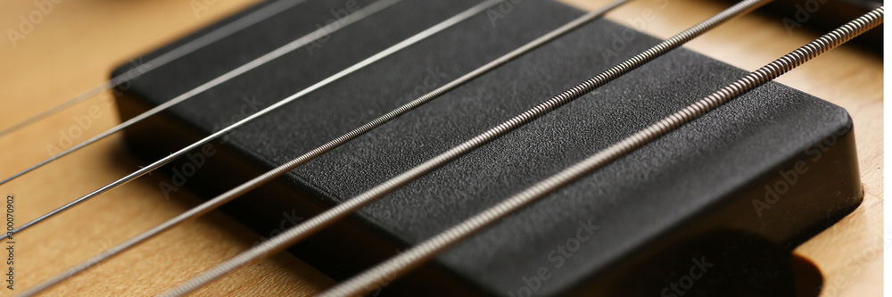 Classic shape wooden electric guitar with rosewood neck