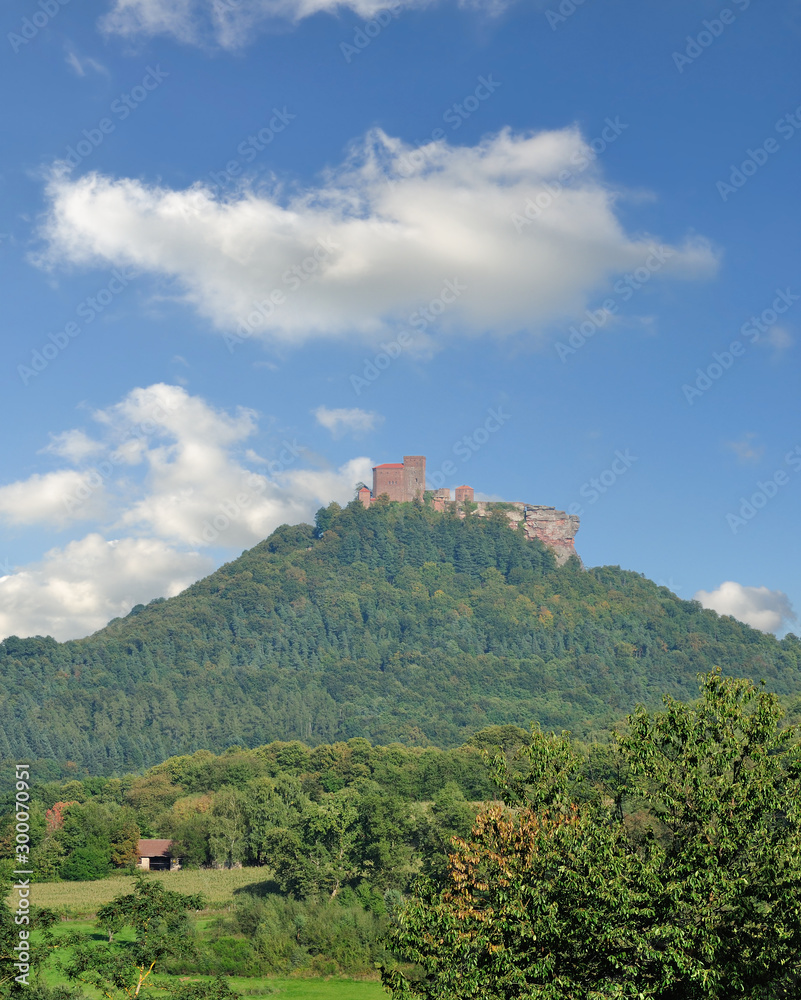 Blick auf die Burg Trifels im Pfälzerwald,Rheinland-Pfalz,Deutschland
