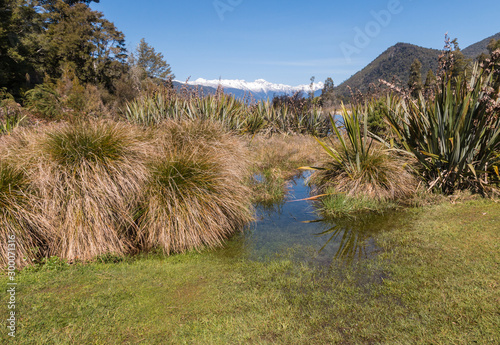 laker Rotoroa in Nelson Lakes National Park in early springtime photo