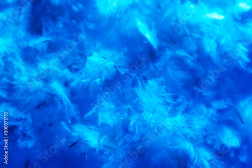 Beautiful abstract colorful pink and white feathers on dark background and soft white blue feather texture on white pattern