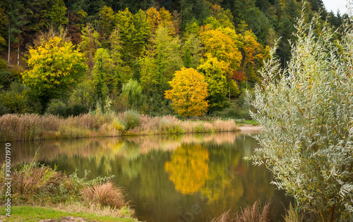 Herbst am See in Berghaupten im Schwarzwald photo