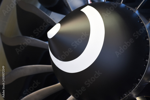 Spinner and compression blades on a jet engine