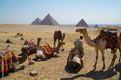 the Pyramids of Giza  Egypt